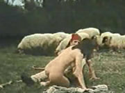 希臘復古 草原羊群搞嘢